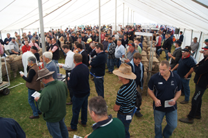 crowd at classings classic merino ram sale 2012